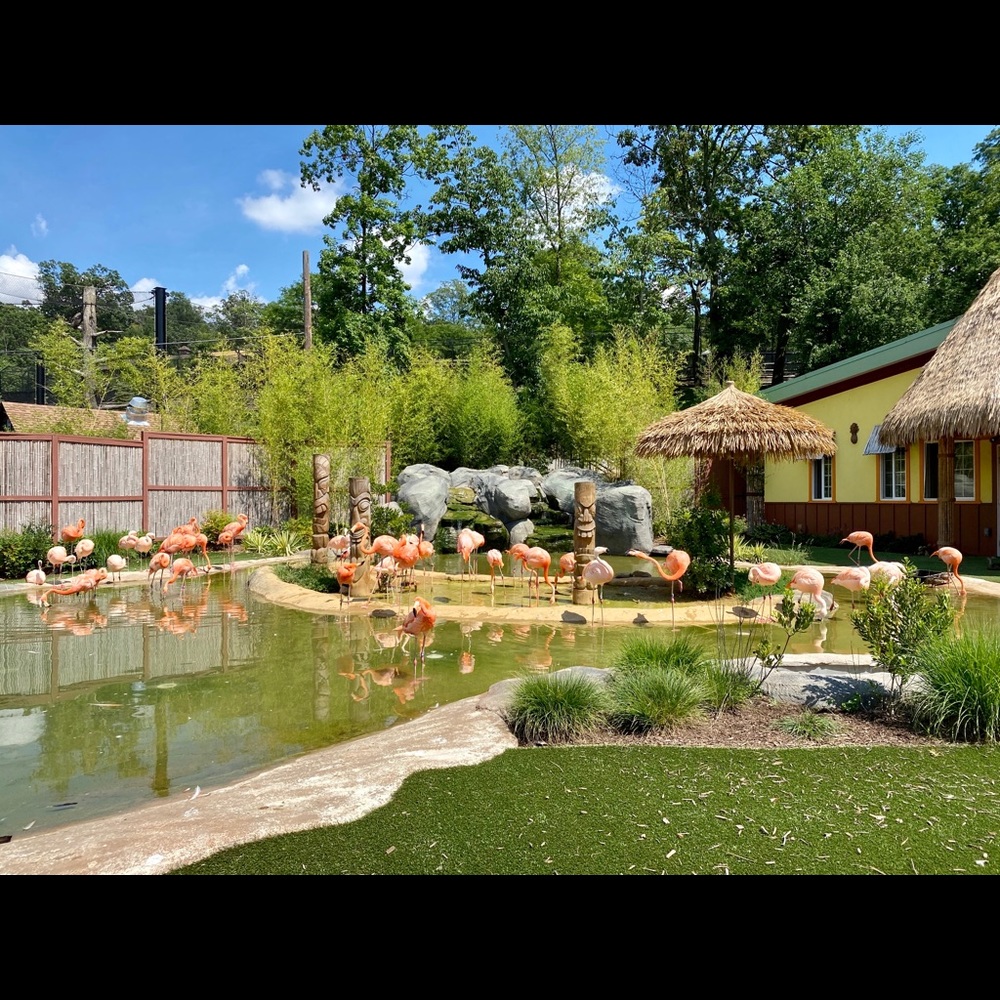 Meet your Posher, Wei